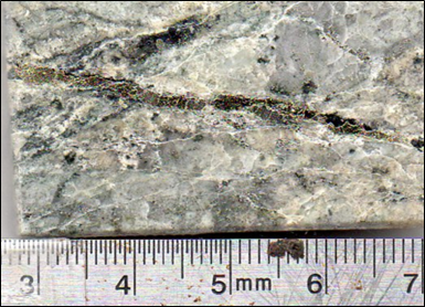 Frontera Cu/Au Project - Image #1